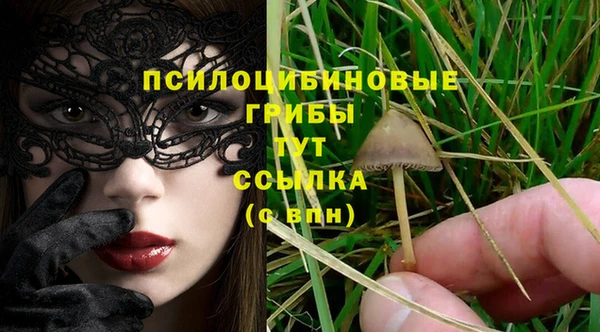2c-b Майский